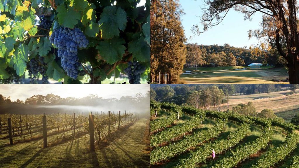 Time-to-Visit-the-Hunter-Valley