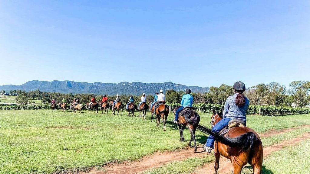 0431 337 367 The Hunter Valley Horses offer a variety of relaxing horse and horse carriage tours around the Hunter Valley Pokolbin region for the perfect wine tasting tour set at your own pace. Perfect for groups or a romantic getaway tour, enjoy perusing the vineyards with knowledgeable guides to lead your way through the picturesque trails. Suitable for all skill levels, book your Hunter Valley Horses tour today on 0431 337 367.