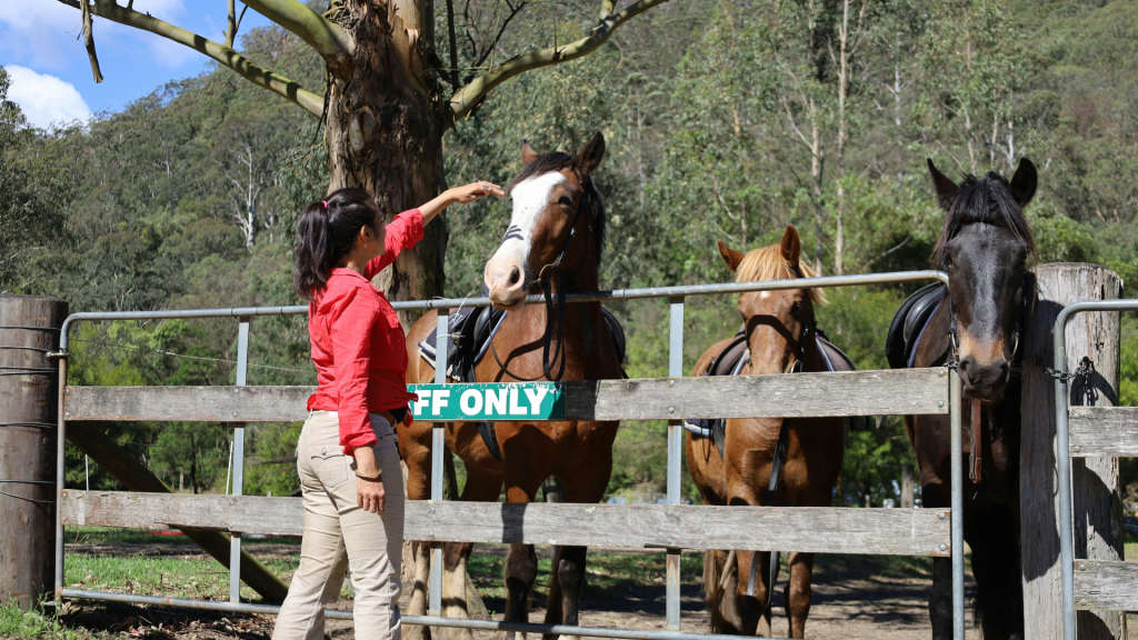 Horse riding in the Hunter Valley